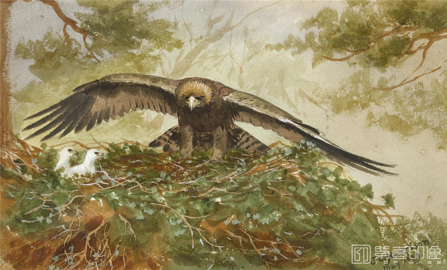 油画-约翰.赛里尔·哈里森 John Harrison作品集-102